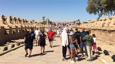 إقبال سياحي كبير تزامنا مع بدء بروفات حفلات افتتاح طريق الكباش بالأقصر|صور