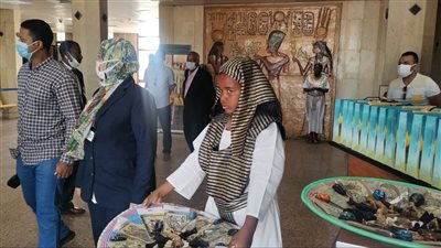 مطار أبو سمبل يستقبل ضيوف مصر المشاركين في احتفالية تعامد الشمس