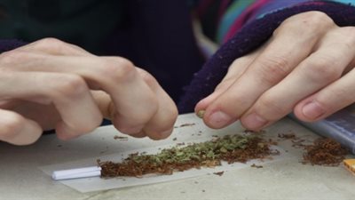 ضبط تجار مخدرات لحيازتهم 250 طربة حشيش في المحافظات