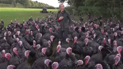 ديك رومي يتحرش بمراسلة تليفزيون | فيديو