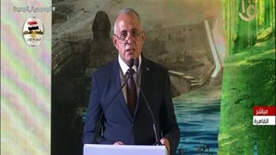 وزير الري يؤكد أهمية التوصل لاتفاق قانوني ملزم بشأن سد النهضة