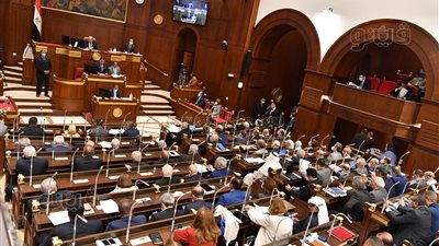  أبرزها تحديد العمر وإنشاء ناد.. المواد المثيرة للجدل والمختلف عليها في قانون حقوق المسنين