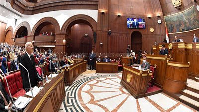 رفع الجلسة العاملة للشيوخ ومعاودة الانعقاد 29 مايو