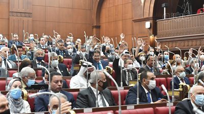 توصيات مجلس الشيوخ بشأن دراسة الشباب والذكاء الاصطناعي.. النظر في توفير احتياجات الدولة من الطاقة.. وإعداد الكفاءات للانخراط في هذا المجال