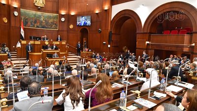 جدول أعمال مجلس الشيوخ الأسبوع الجاري.. مناقشة تقارير اللجان النوعية (الأبرز)