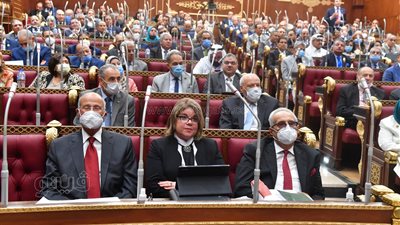 تفاصيل جلسة الشيوخ غدا.. المجلس يناقش سياسة الحكومة لحفظ مال الوقف وتجديد المساجد.. ويبحث خطة التنمية الاقتصادية والاجتماعية 