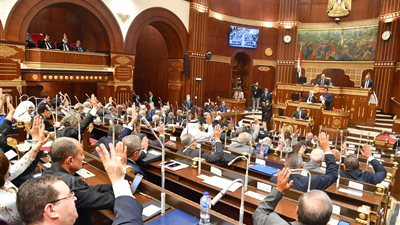 مجلس الشيوخ يناقش 13 تقريرا للجان النوعية.. تراخيص العيادات والنشرات الطبية.. إعادة تنظيم المجلس الأعلى للطاقة.. إحلال وتجديد طريق الزقازيق - السنبلاوين