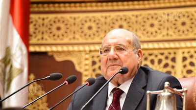 رئيس مجلس الشيوخ: ودعنا عاما كان مليئا بالعمل الوطني الجاد وتحقيق النجاحات