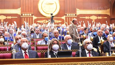 الخولي ممثلا للهيئة البرلمانية لمستقبل وطن.. والنحاس للوفد