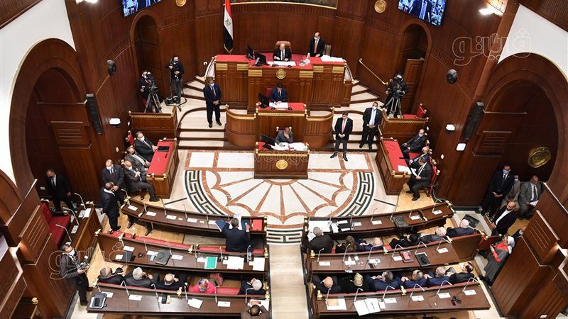 مجلس الشيوخ
