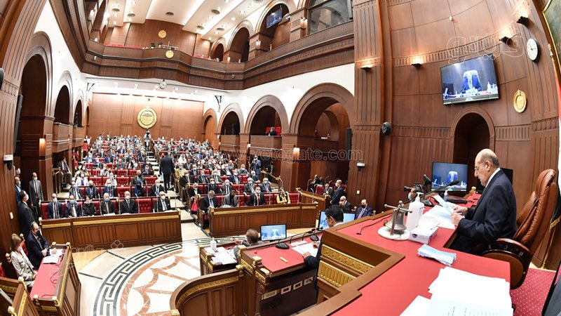 مجلس الشيوخ