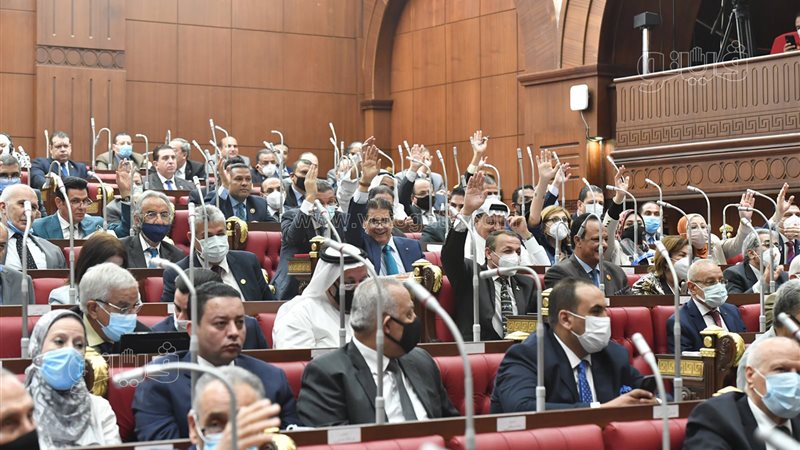 مجلس الشيوخ