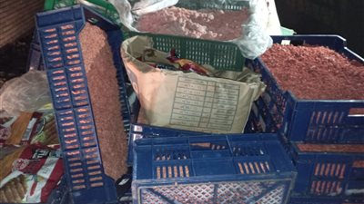 ضبط 300 كيلو لحوم منتهية الصلاحية في المنوفية