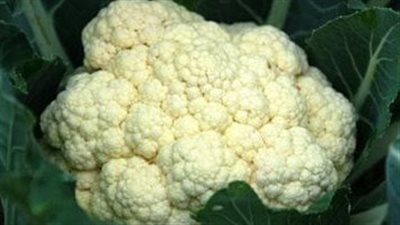 فوائد القرنبيط، خضار الشتاء الشهير الذي يقدم بطرق اقتصادية