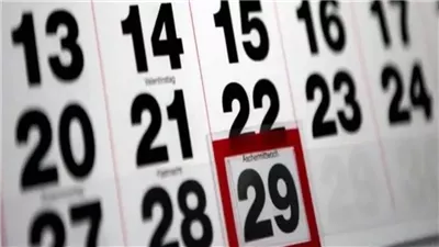 بسبب 29 فبراير، أول مشكلة تظهر في نيوزيلندا وتتسبب في شلل تام بالبلاد