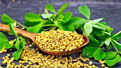 مشروب يقوي مناعة الصغار والكبار ويحمي من السرطان