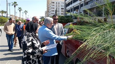 الإسماعيلية تتسلم 7000 شتلة من المرحلة الثانية من المبادرة الرئاسية 100 مليون شجرة