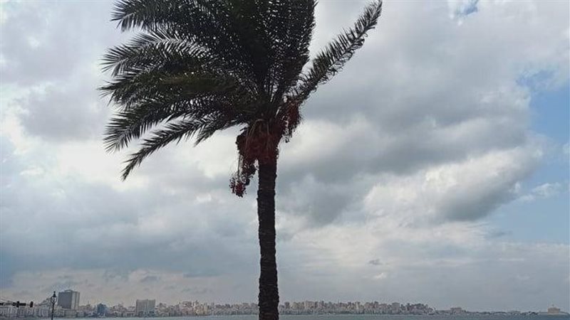 عواصف رعدية، فيتو