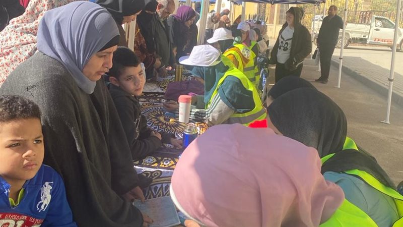 وزارة التضامن الاجتماعي،فيتو