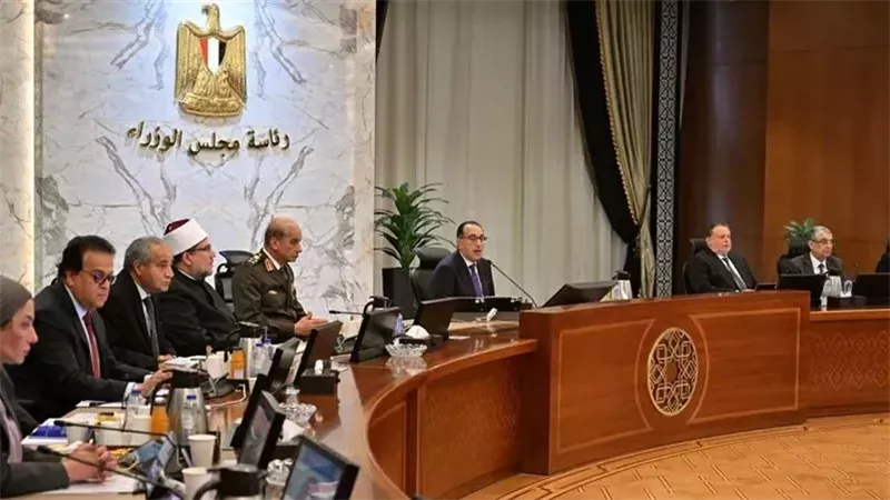 مجلس الوزراء، فيتو