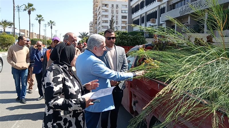 تتسلم 7000 شتلة،