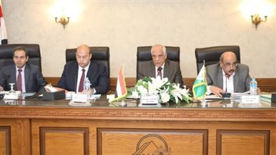 توزيع طن لحوم وكراتين رمضان على الأسر المحتاجة بجنوب الجيزة