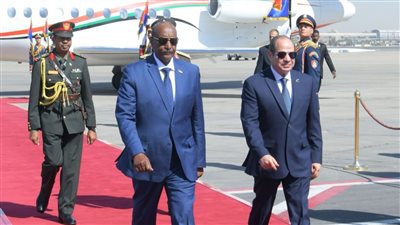 رسائل السيسي لقادة الصومال وإريتريا والسودان: مصر لا تتدخل في شؤون الدول وتسعى للتعاون والبناء مع الجميع.. لن نسمح لأحد بتهديد الصومال.. ونحرص على أمن السودان ودعمها وتسوية النزاع القائم