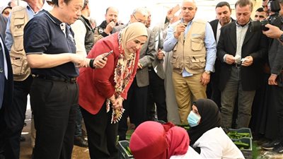 وزيرة التضامن: المساهمة فى إفطار رمضاني بقيمة 2 مليون جنيه لأهالي المنيا