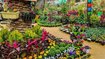 فلكيا، فصل الربيع يبدأ الأربعاء 20 مارس