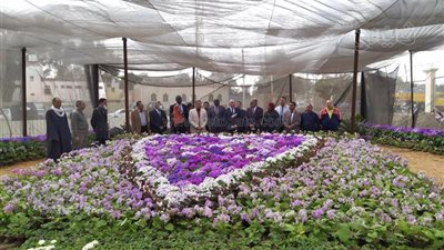 القومي للبحوث الفلكية: غدًا انتهاء الشتاء وبدء فصل الربيع 