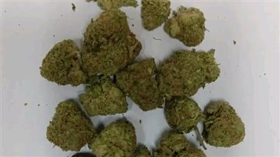  مطار الغردقة يحبط محاولة تهريب مخدري الحشيش والماريجوانا داخل علبة كريم (صور)