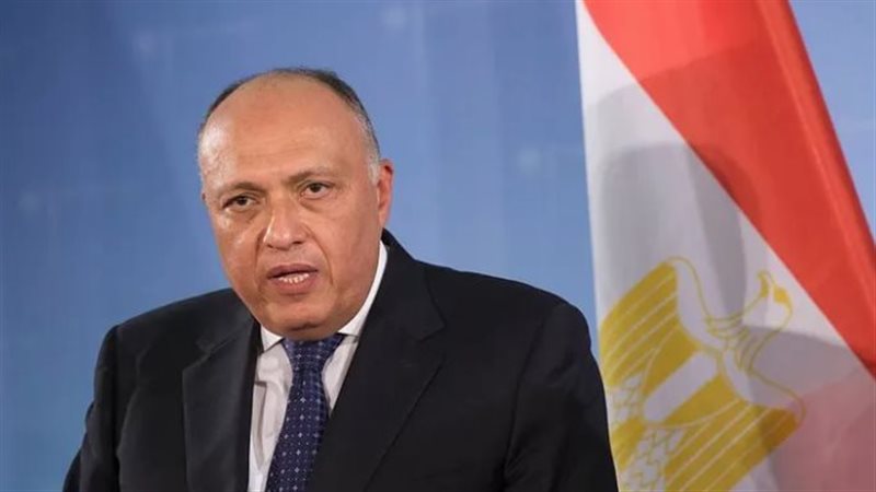 سامح شكرى وزير الخارجية،