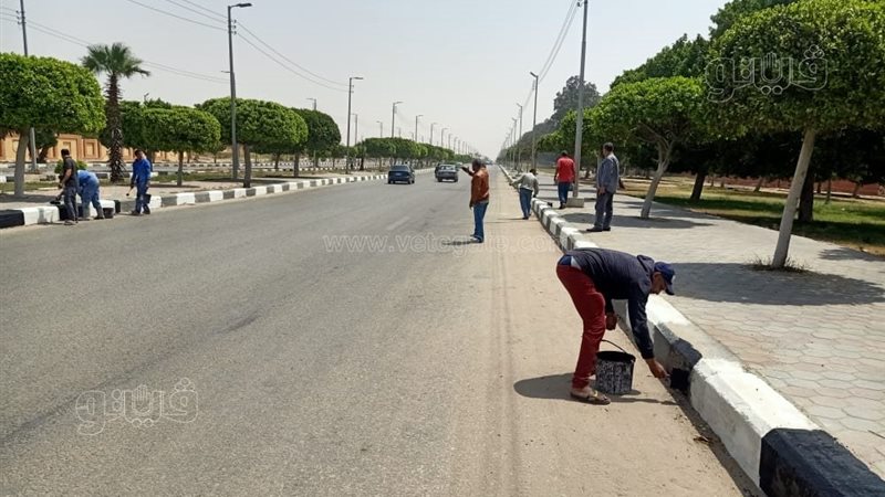درجات الحرارة غدا،