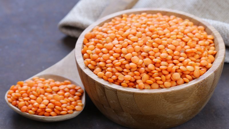 أسعار العدس اليوم،