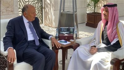 وزير الخارجية يبحث مع نظيره القطري التعاون بين البلدين