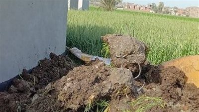 استمرار الحملات لإزالة الأبنية المخالفة على الأراضي الزراعية بالشرقية 