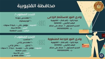 برواتب مجزية.. توفير 366 فرصة عمل بالقليوبية