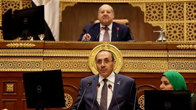 رئيس الشيوخ: قانون الضمان الاجتماعي يحتاج لائحة تنفيذية منفصلة ودقيقة
