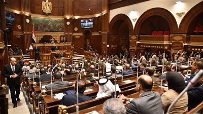  مجلس الشيوخ يناقش اليوم أزمات تطبيق منظومة التأمين الصحي بمحافظات المرحلة الثانية