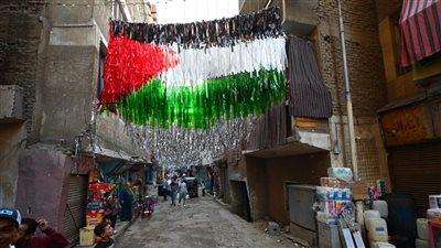 مصر وفلسطين بلد واحد، حكاية زينة رمضان في شوارع فيصل (فيديو وصور) 