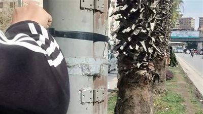غلق أبواب أعمدة الإنارة في حملة مكبرة بشارع الهرم 