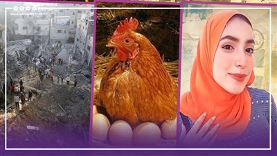  نشرة الأخبار، في مأساة طالبة العريش، النيابة تحذر منتهكي الحياة الخاصة.. الأسعار المتوقعة للدواجن والبيض خلال رمضان