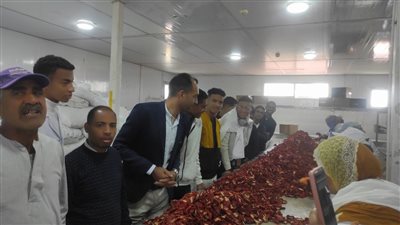 للتعرف على طرق تجفيف الطماطم، جامعة طيبة التكنولوجية تنظم زيارة ميدانية لطلاب التصنيع الغذائي 