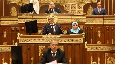 بعد موافقة الشيوخ.. النص الكامل لقانون الضمان الاجتماعي الموحد 