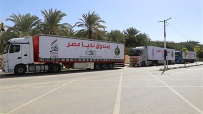 محافظ الوادي الجديد: وصول 4800 كرتونة مواد غذائية من قوافل 