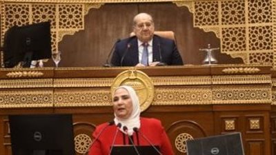 وزيرة التضامن تتمسك بالـ50 سنة للأنثى غير المتزوجة بقانون الضمان الاجتماعي 