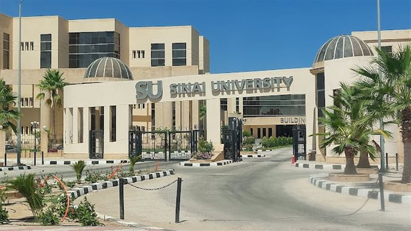 جامعة سيناء