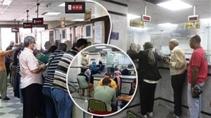 شروط الحصول علي رخصة