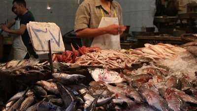 ارتفاع أسعار الأسماك بسبب التصدير إلى الخارج (فيديو)