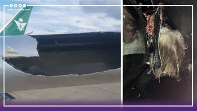 بعد اصطدام طائر بجناحها، نجاة ركاب طائرة الخطوط السعودية